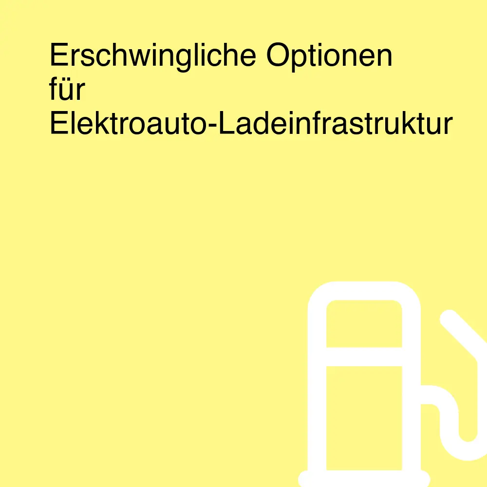 Erschwingliche Optionen für Elektroauto-Ladeinfrastruktur Erschwingliche Optionen für Elektroauto-Ladeinfrastruktur