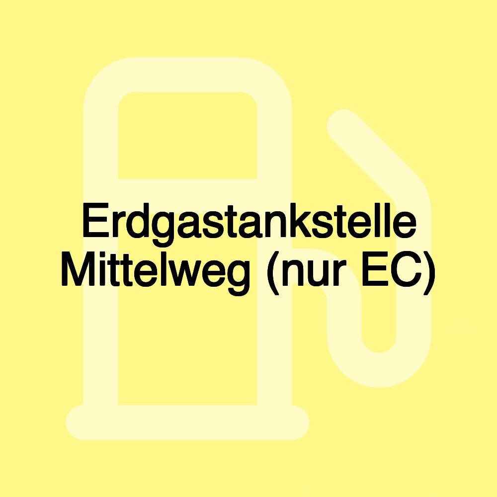 Erdgastankstelle Mittelweg (nur EC)