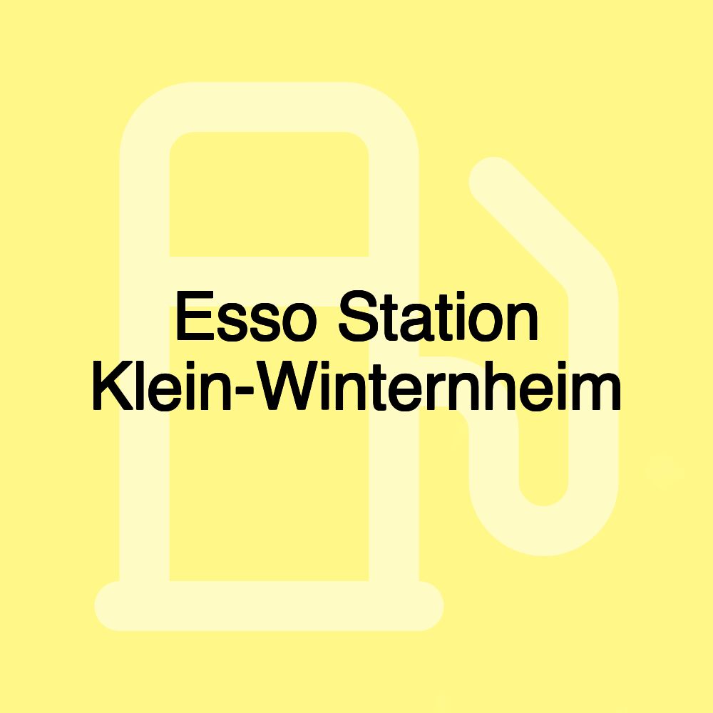 Esso Station Klein-Winternheim