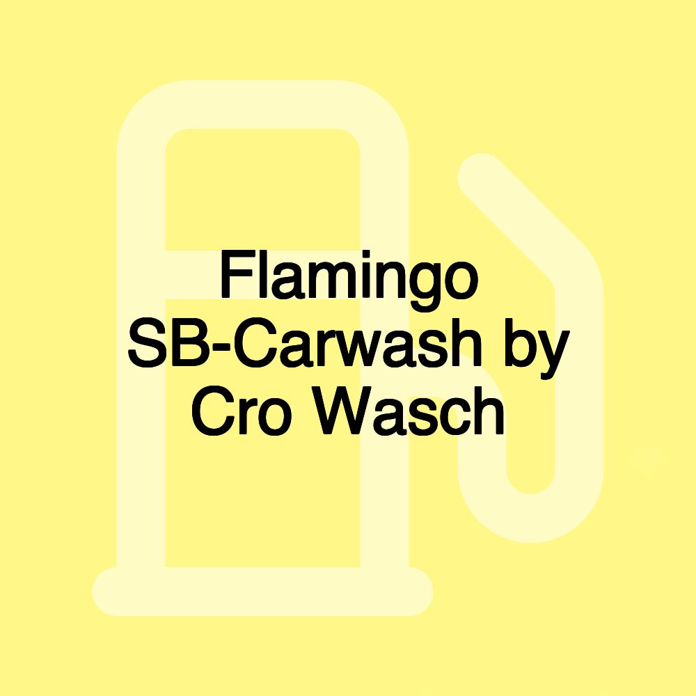 Flamingo SB-Carwash by Cro Wasch