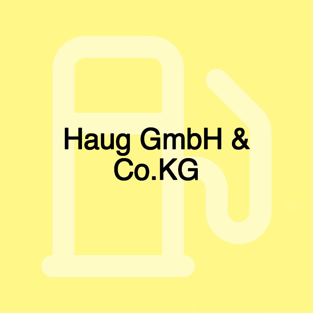 Haug GmbH & Co.KG