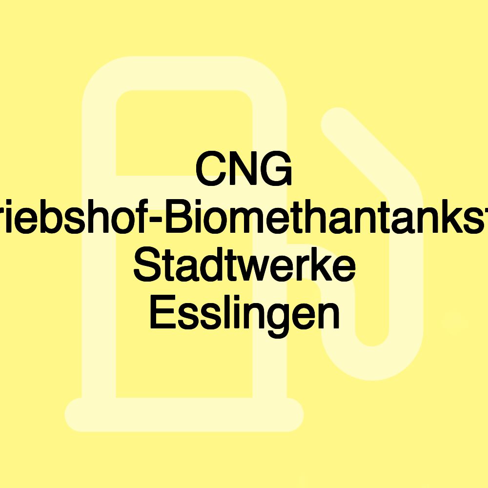 CNG Betriebshof-Biomethantankstelle Stadtwerke Esslingen