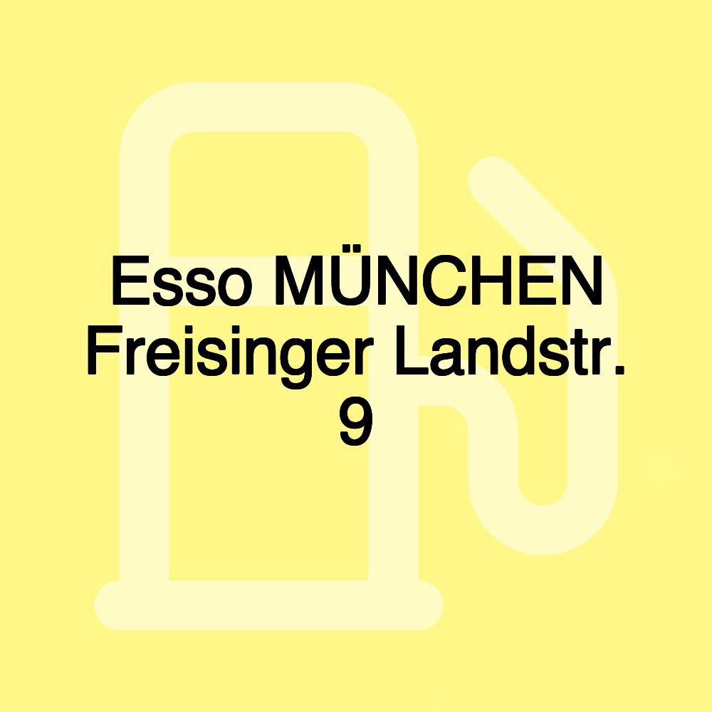 Esso MÜNCHEN Freisinger Landstr. 9