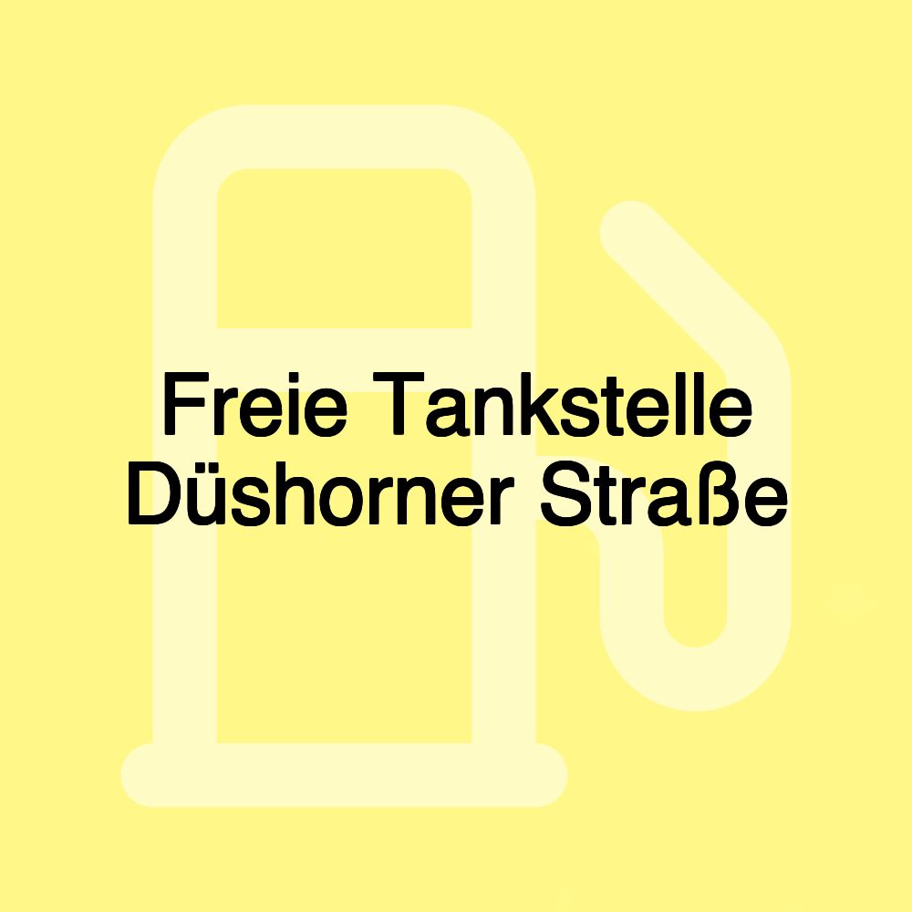 Freie Tankstelle Düshorner Straße