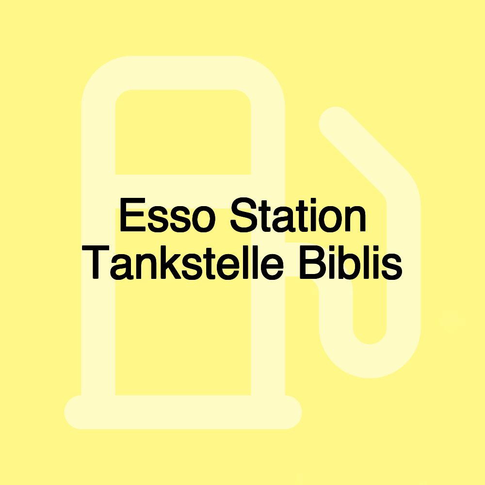 Esso Station Tankstelle Biblis