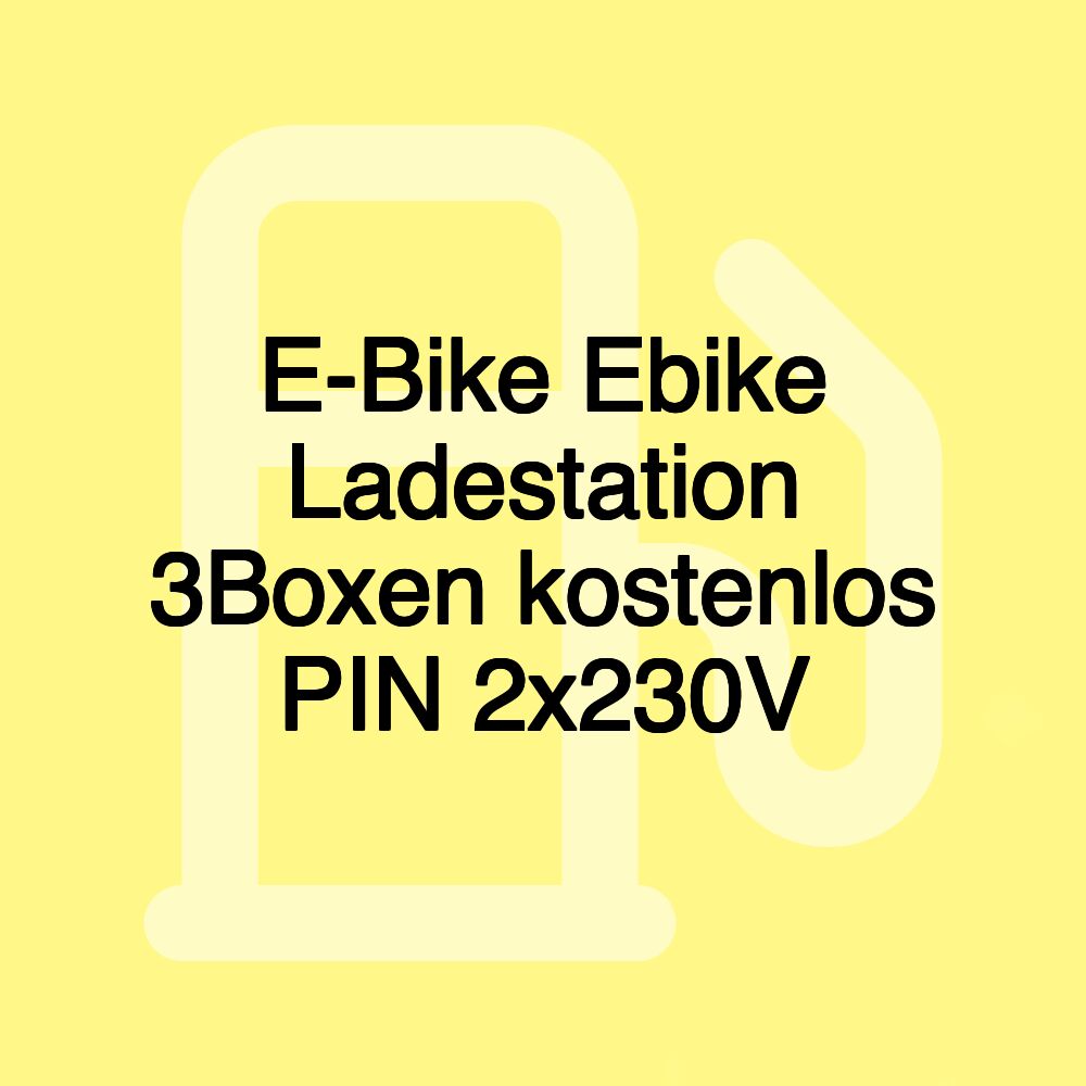 E-Bike Ebike Ladestation 3Boxen kostenlos PIN 2x230V