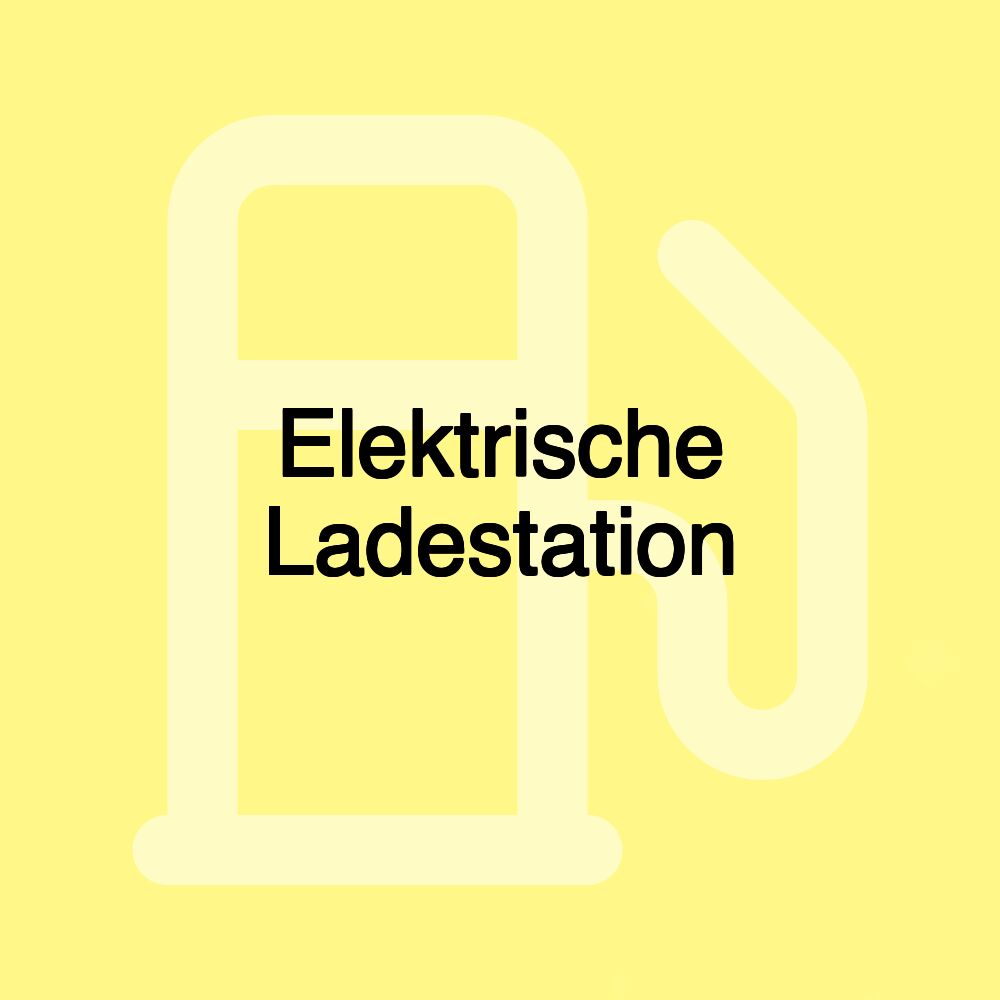 Elektrische Ladestation