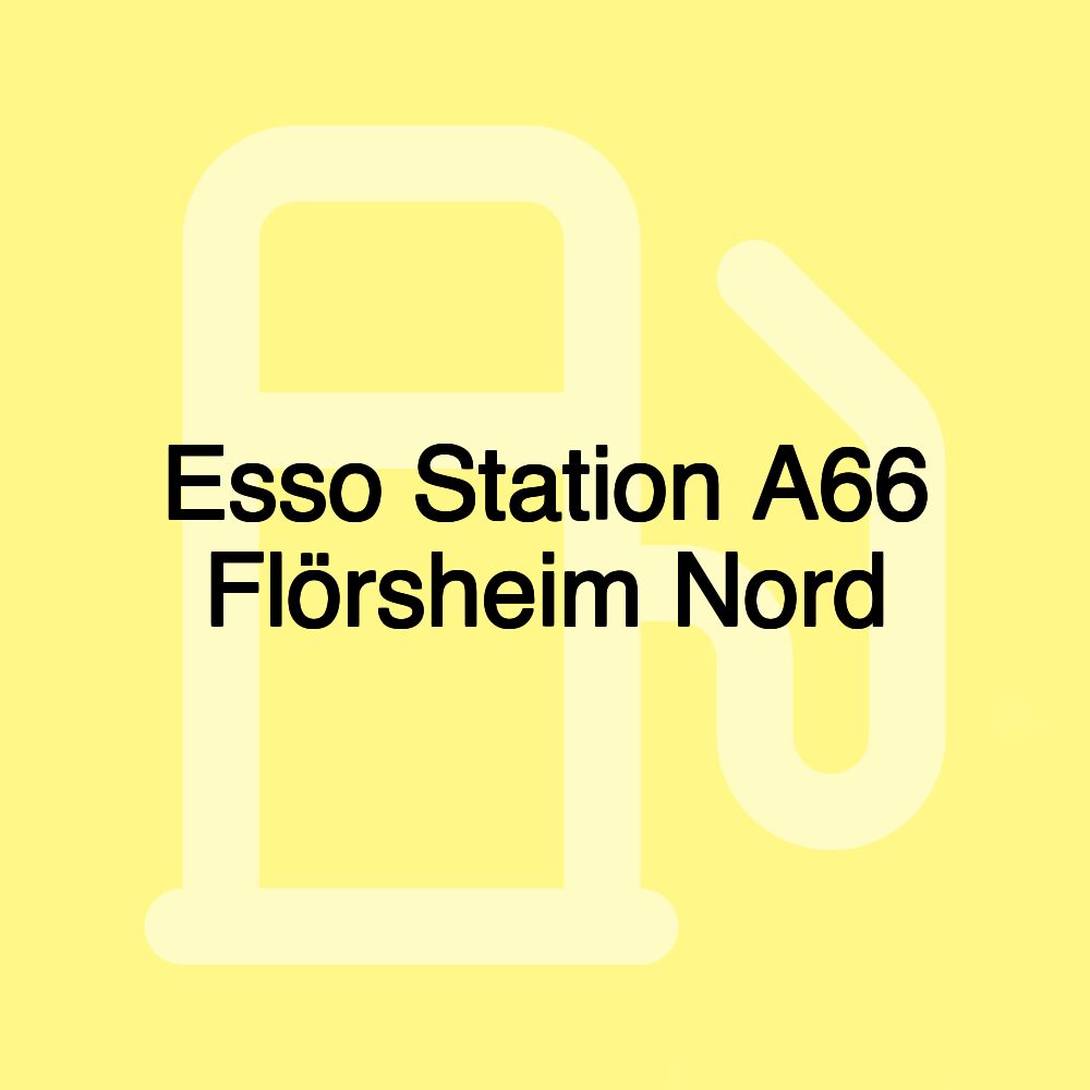 Esso Station A66 Flörsheim Nord