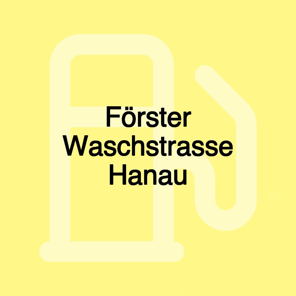 Förster Waschstrasse Hanau