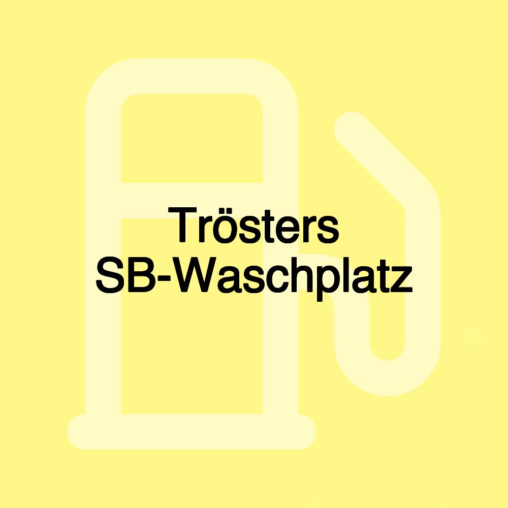 Trösters SB-Waschplatz