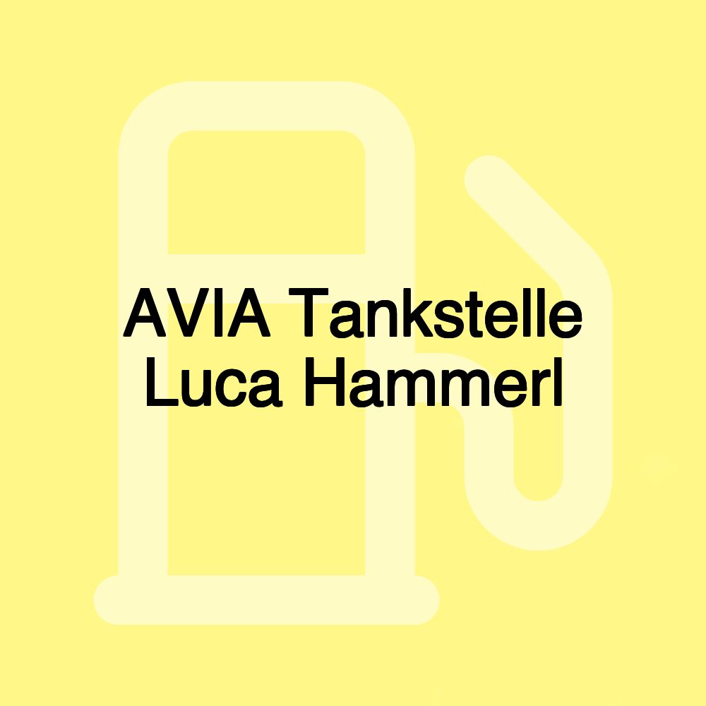 AVIA Tankstelle Luca Hammerl