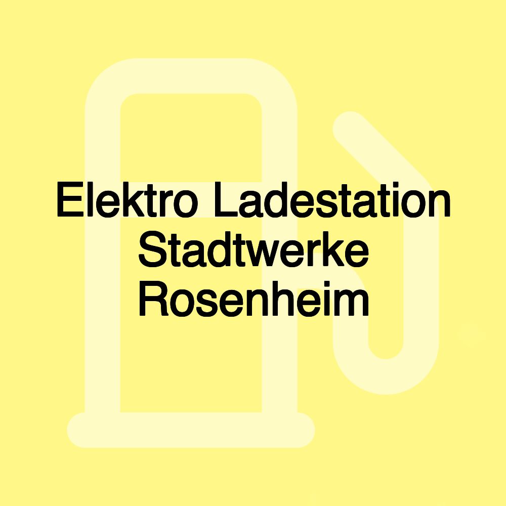 Elektro Ladestation Stadtwerke Rosenheim