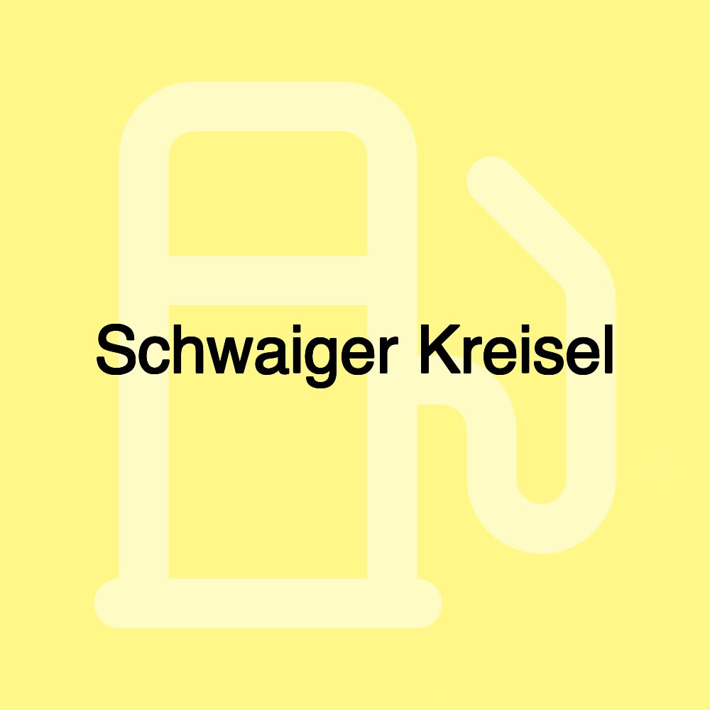 Schwaiger Kreisel