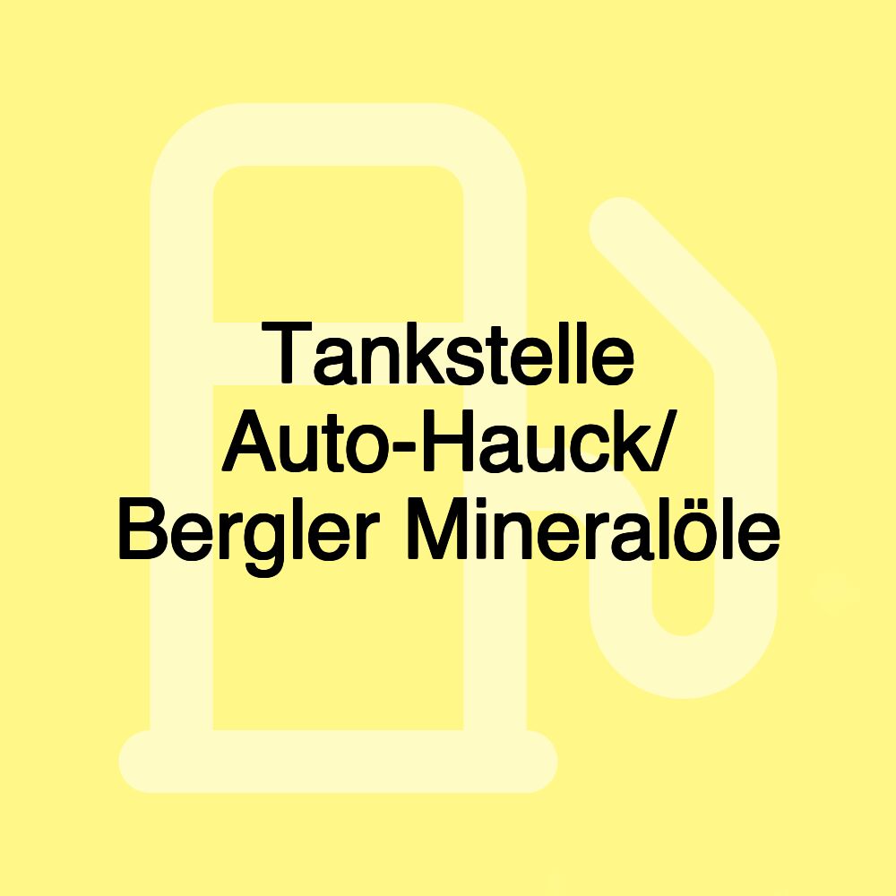 Tankstelle Auto-Hauck/ Bergler Mineralöle