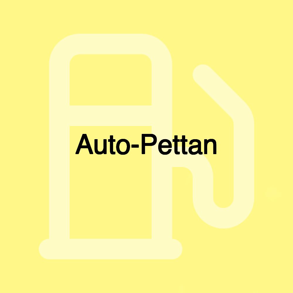 Auto-Pettan