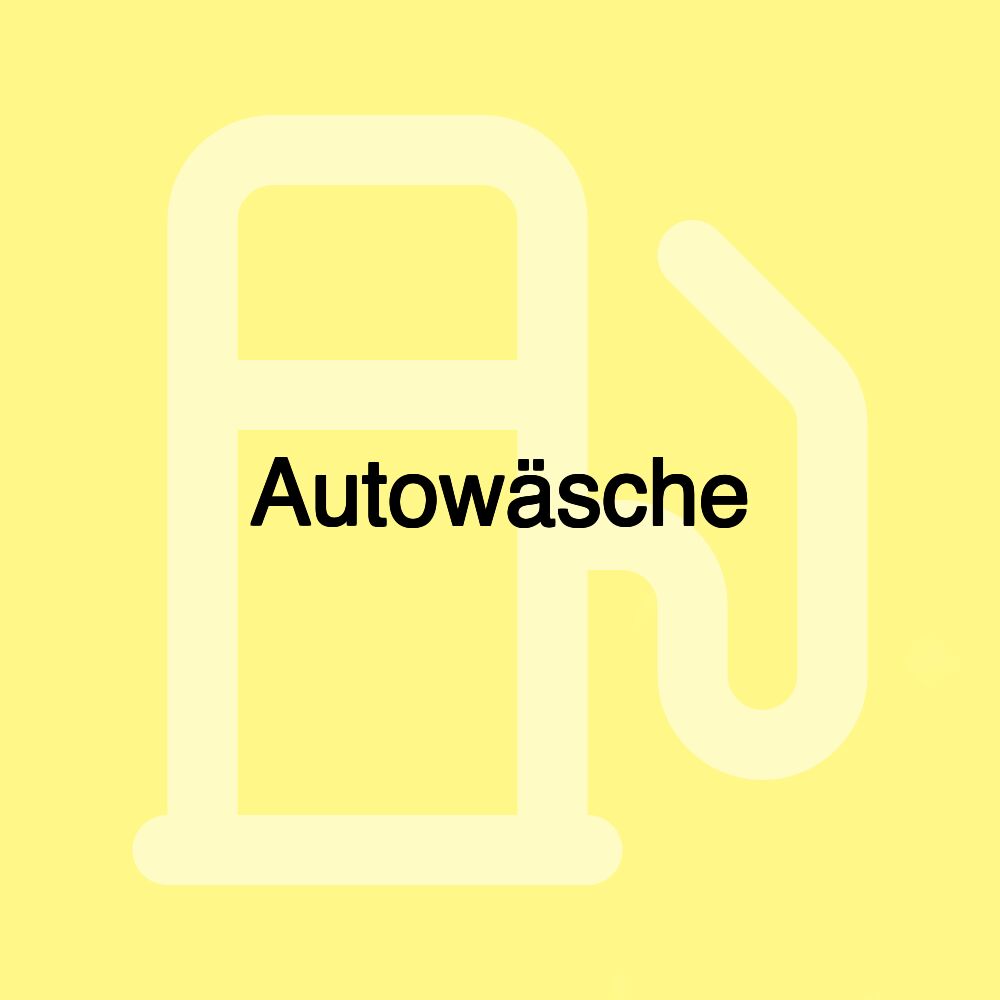 Autowäsche