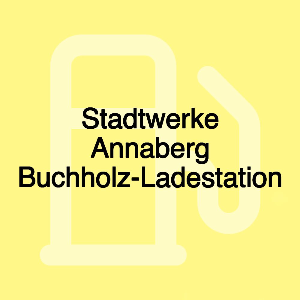 Stadtwerke Annaberg Buchholz-Ladestation