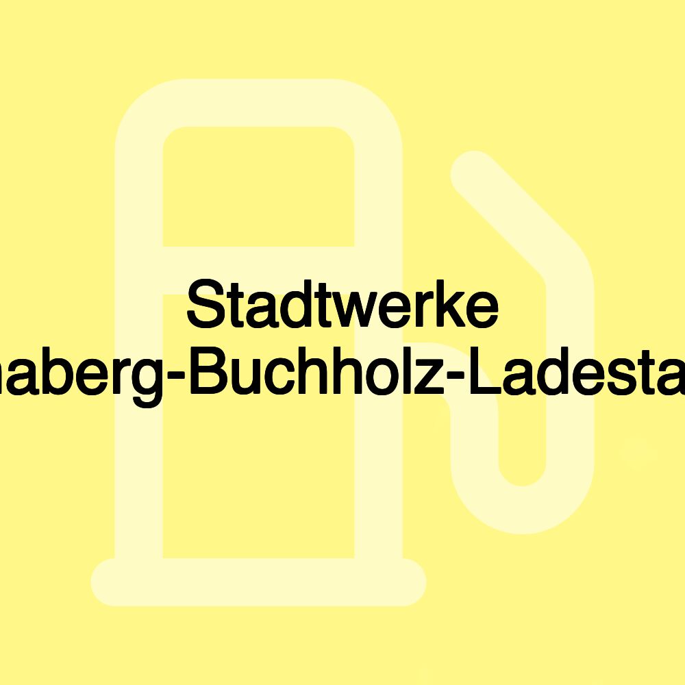 Stadtwerke Annaberg-Buchholz-Ladestation