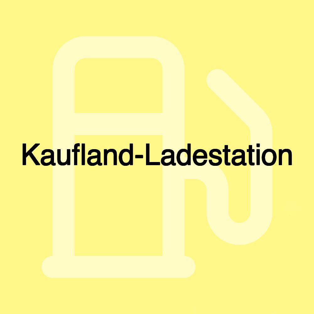 Kaufland-Ladestation