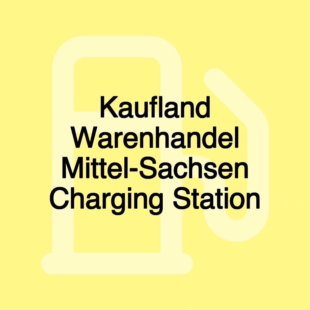 Kaufland Warenhandel Mittel-Sachsen Charging Station