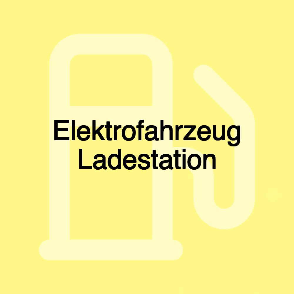 Elektrofahrzeug Ladestation