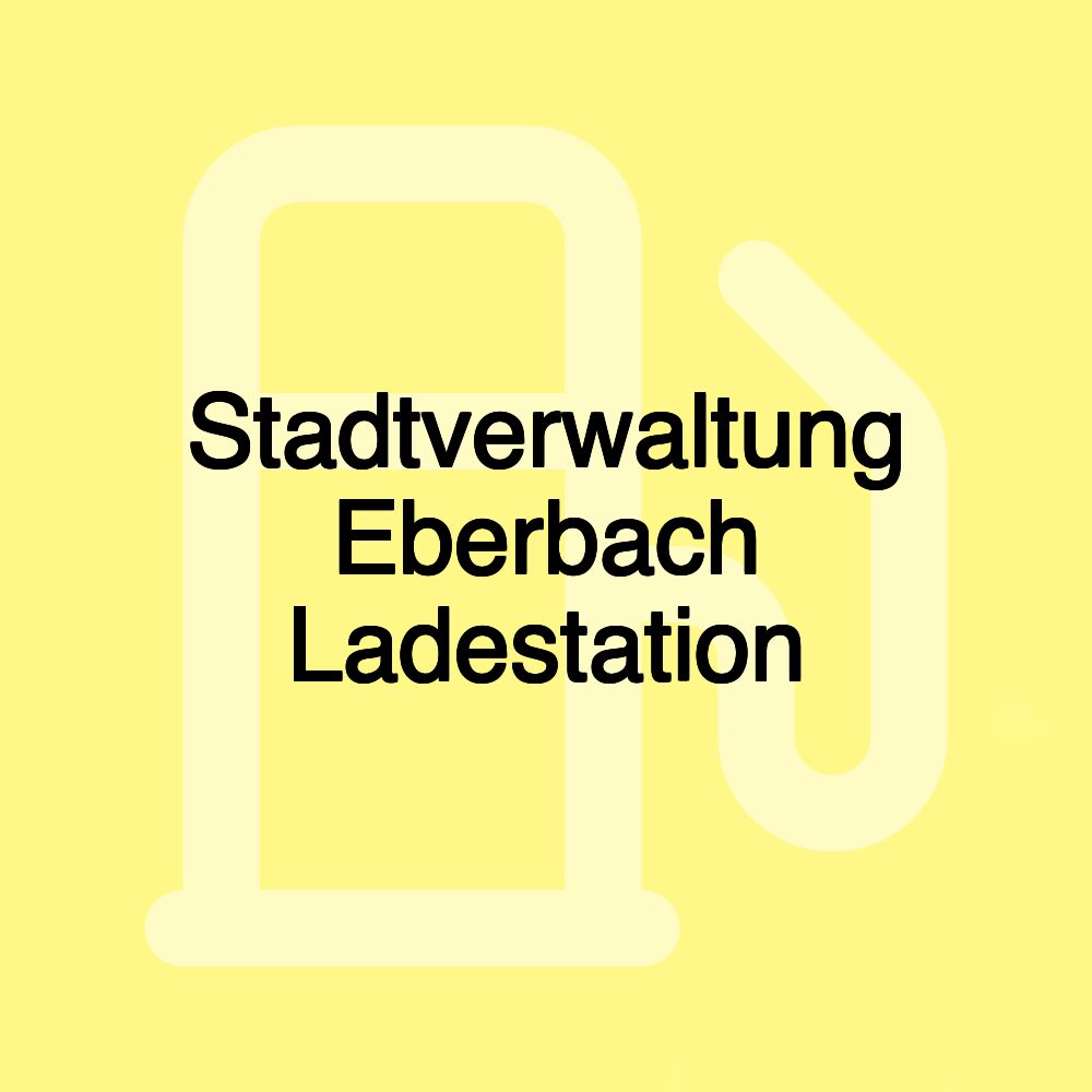 Stadtverwaltung Eberbach Ladestation