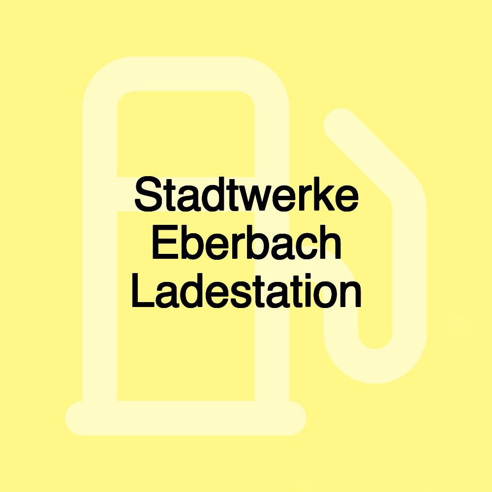 Stadtwerke Eberbach Ladestation