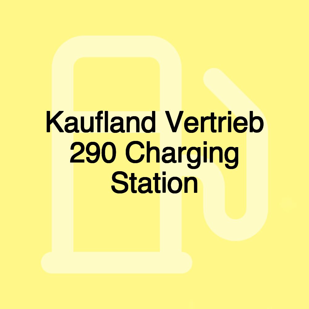 Kaufland Vertrieb 290 Charging Station