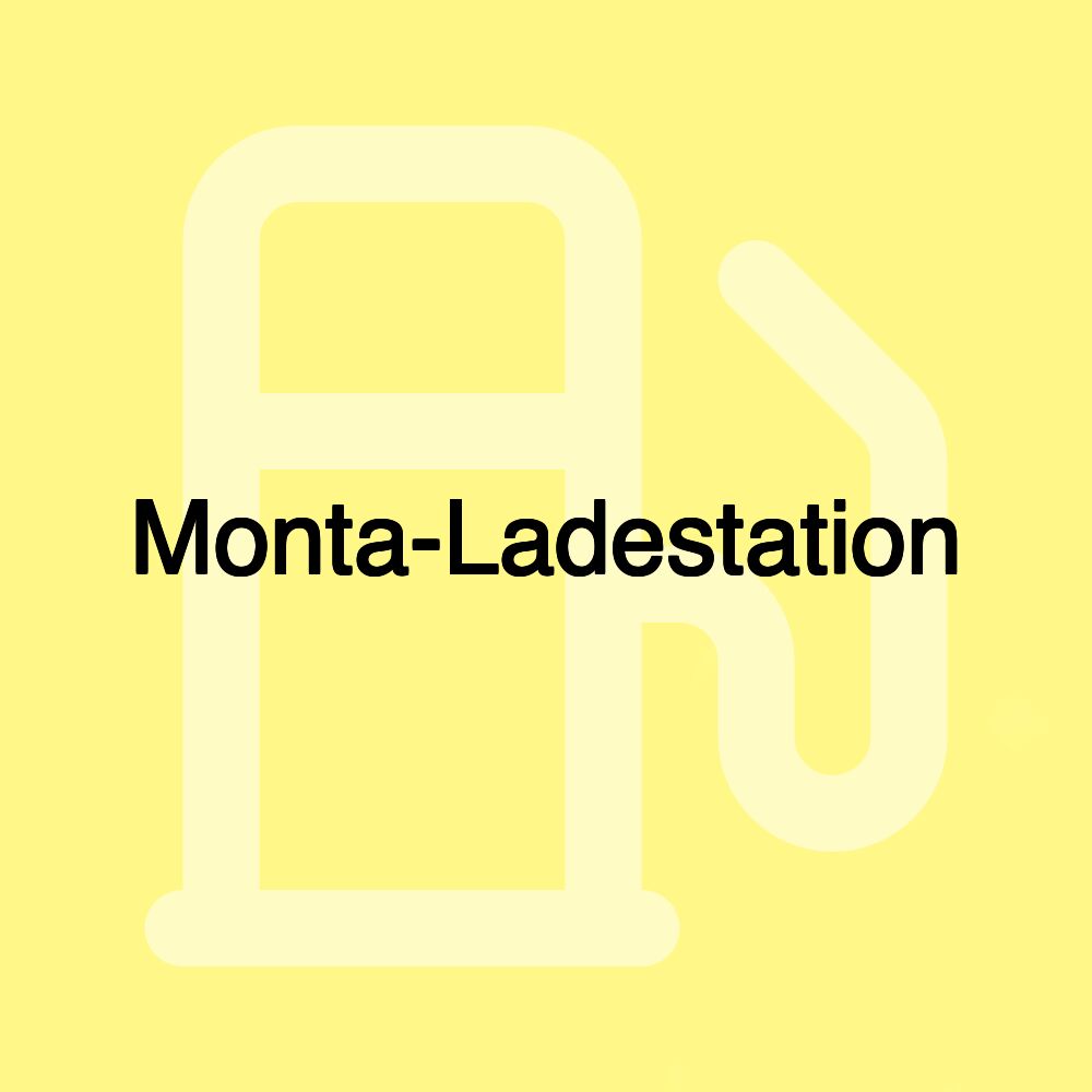 Monta-Ladestation