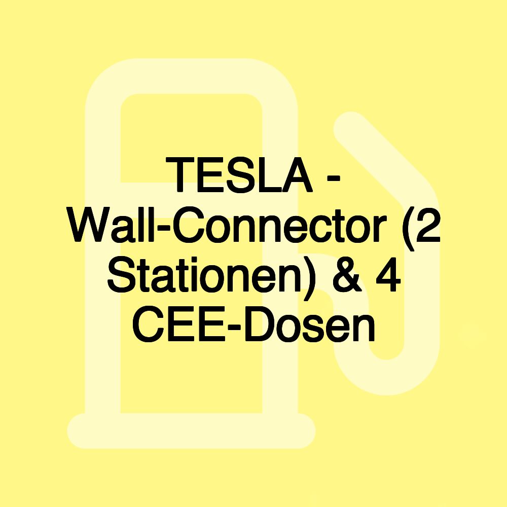 TESLA - Wall-Connector (2 Stationen) & 4 CEE-Dosen