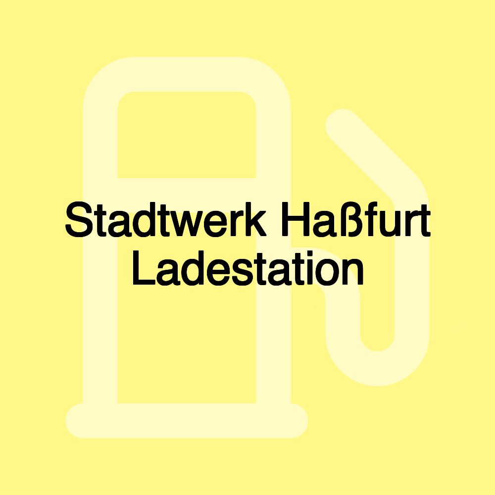 Stadtwerk Haßfurt Ladestation