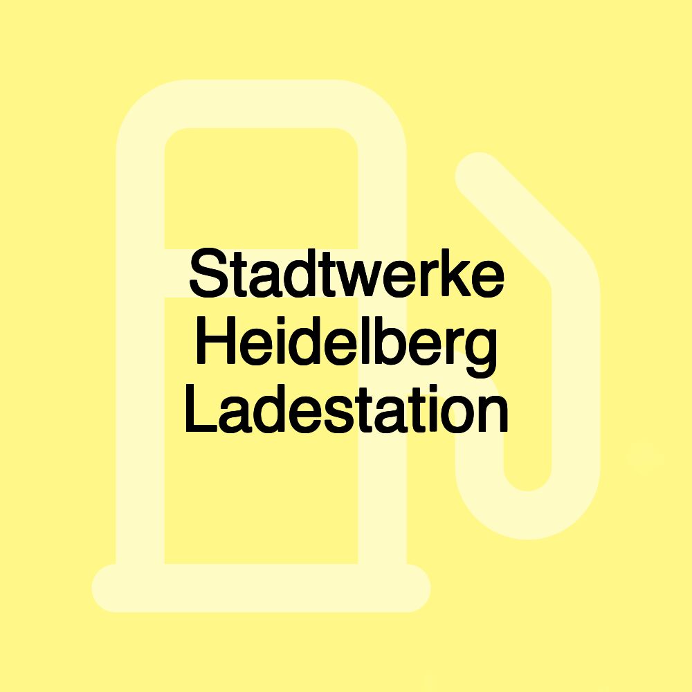 Stadtwerke Heidelberg Ladestation