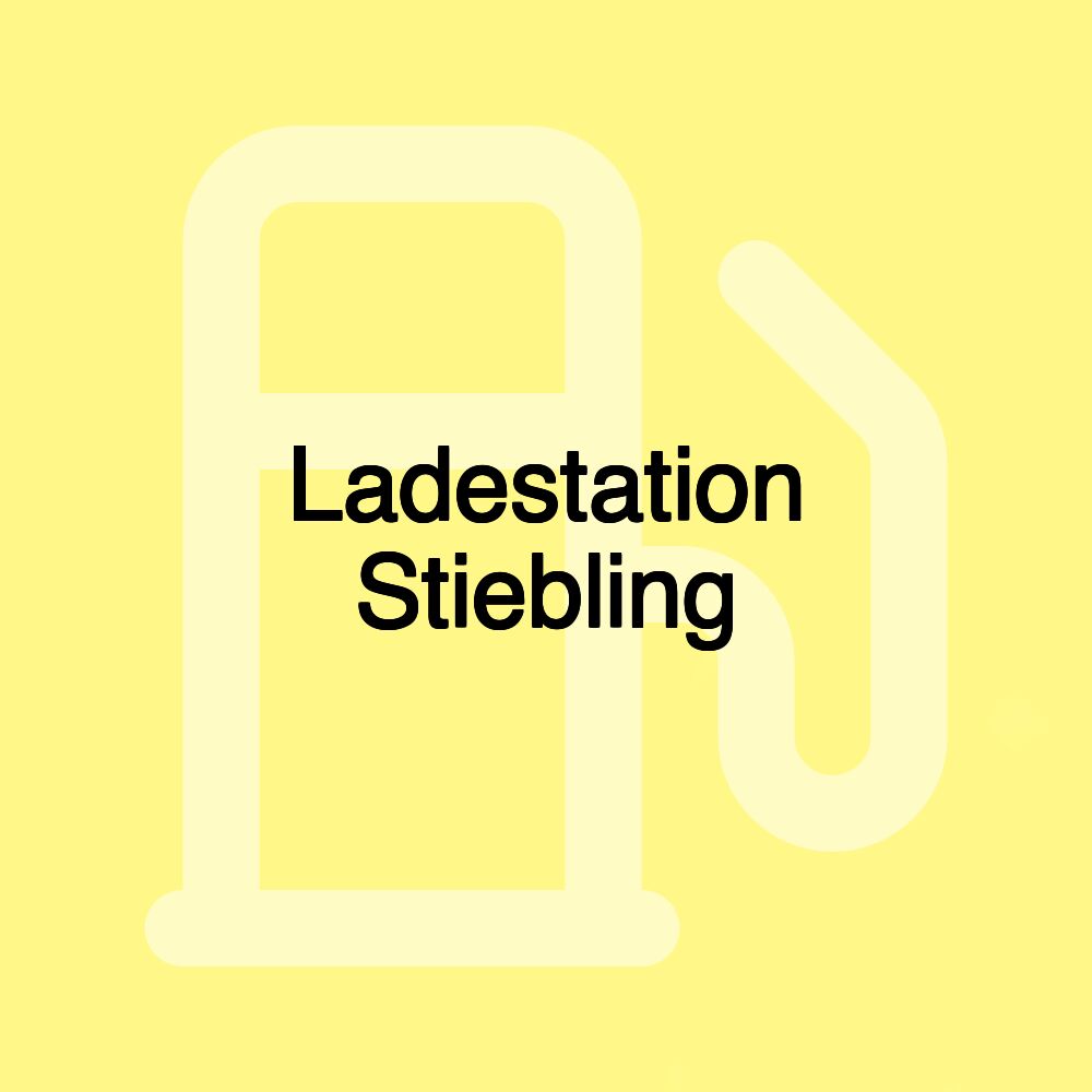 Ladestation Stiebling