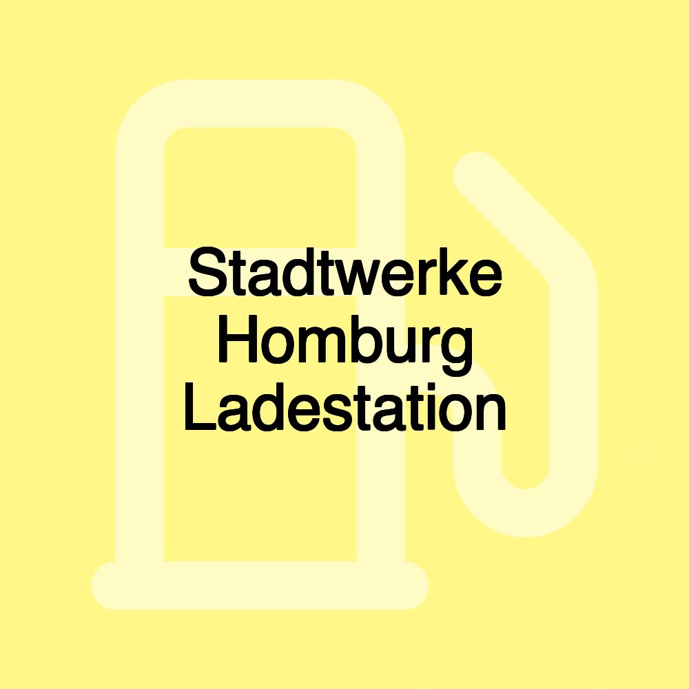 Stadtwerke Homburg Ladestation