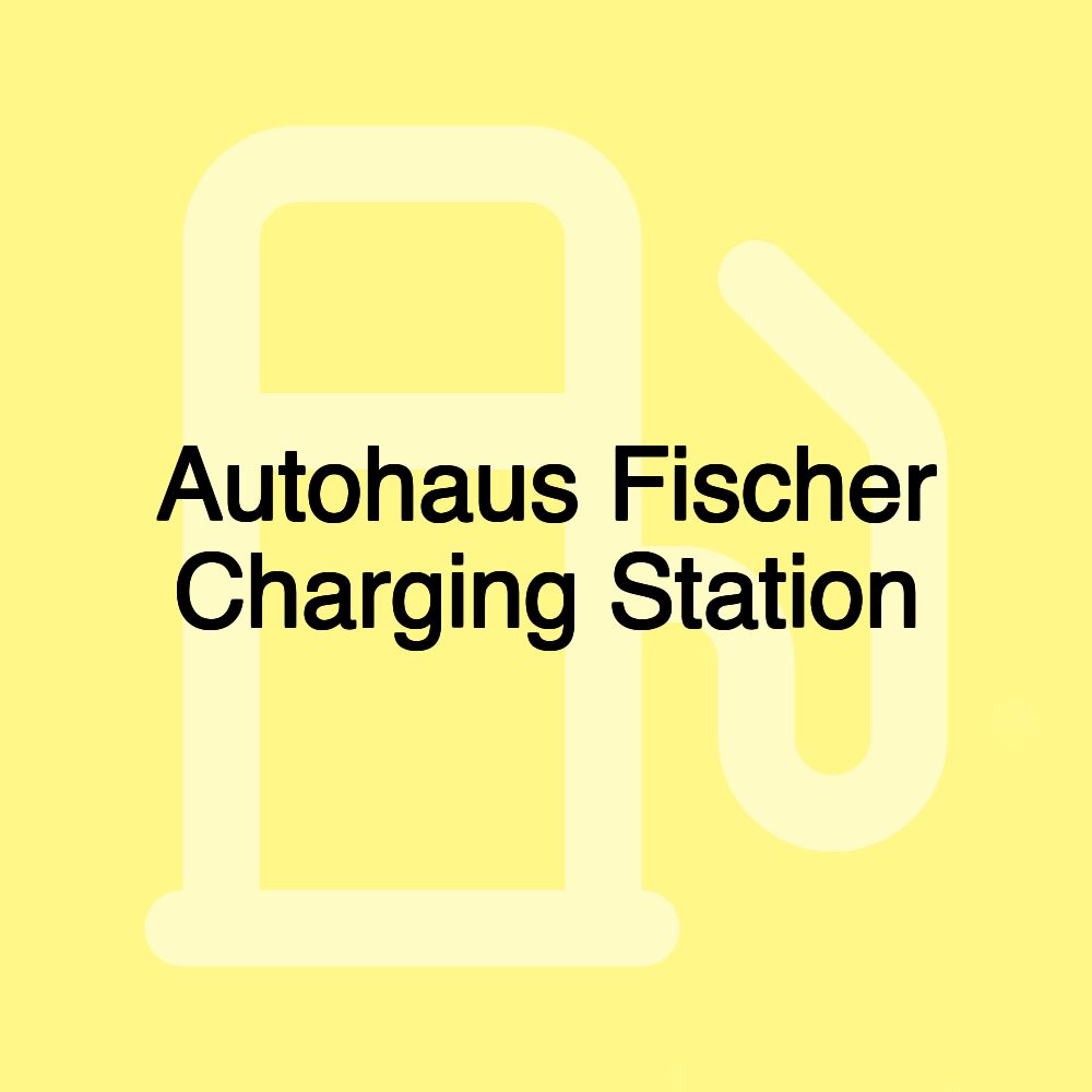 Autohaus Fischer Charging Station