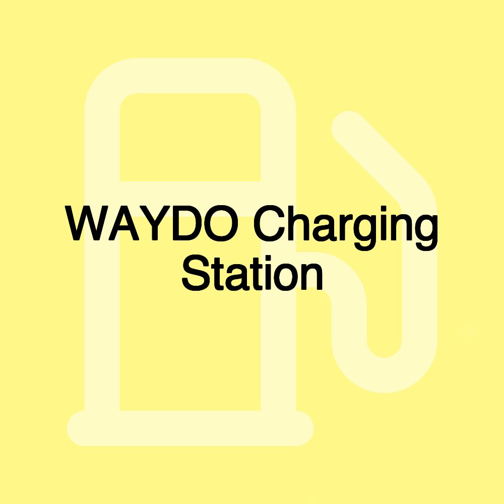 WAYDO Charging Station