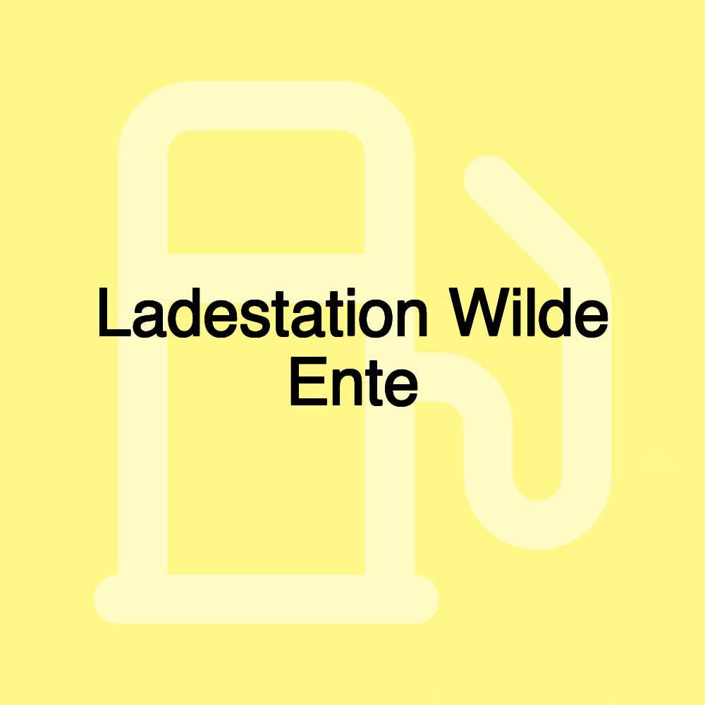 Ladestation Wilde Ente