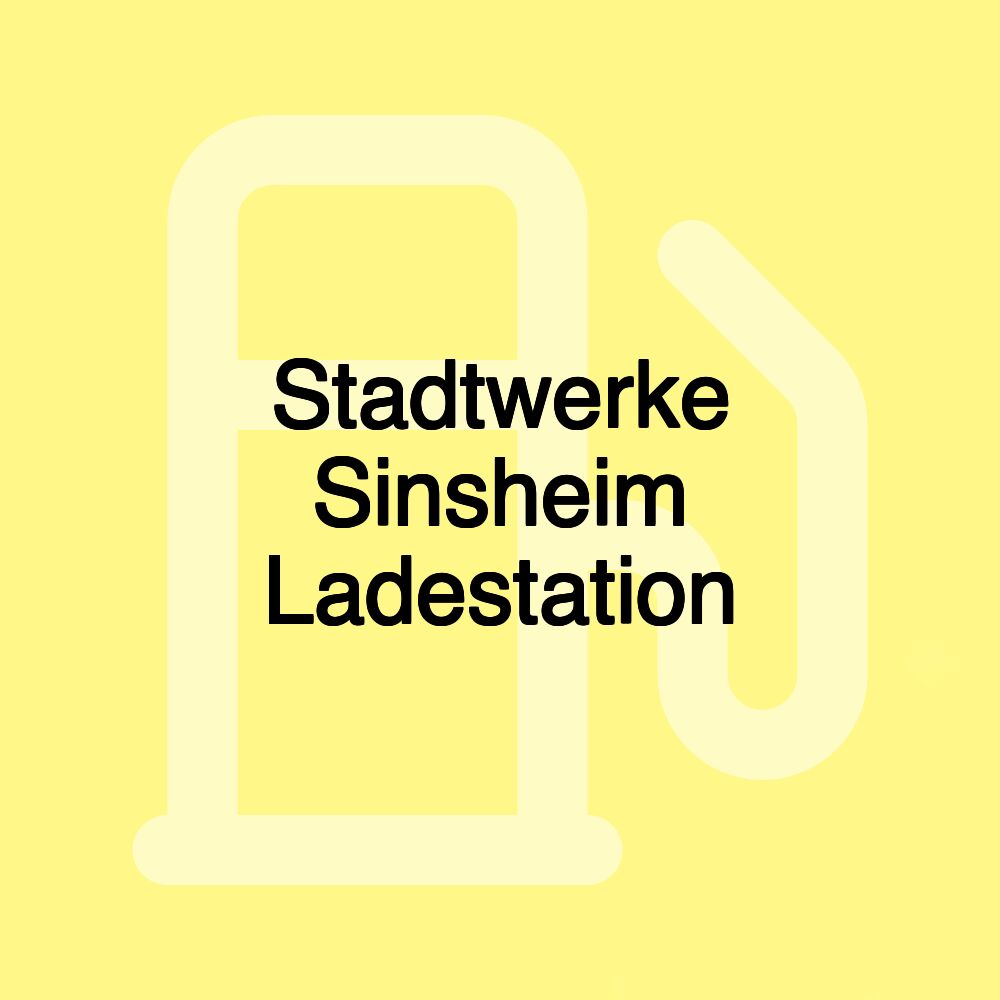 Stadtwerke Sinsheim Ladestation