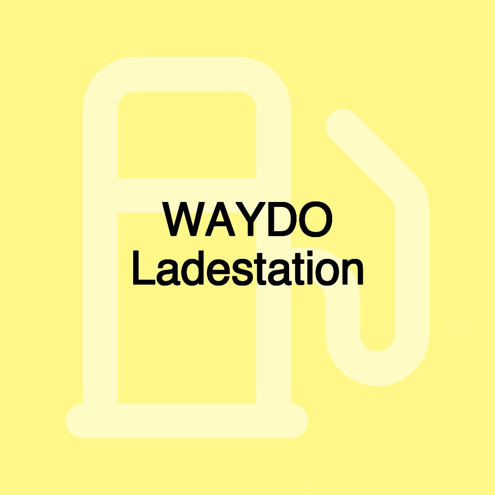 WAYDO Ladestation