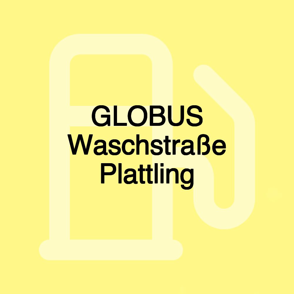 GLOBUS Waschstraße Plattling