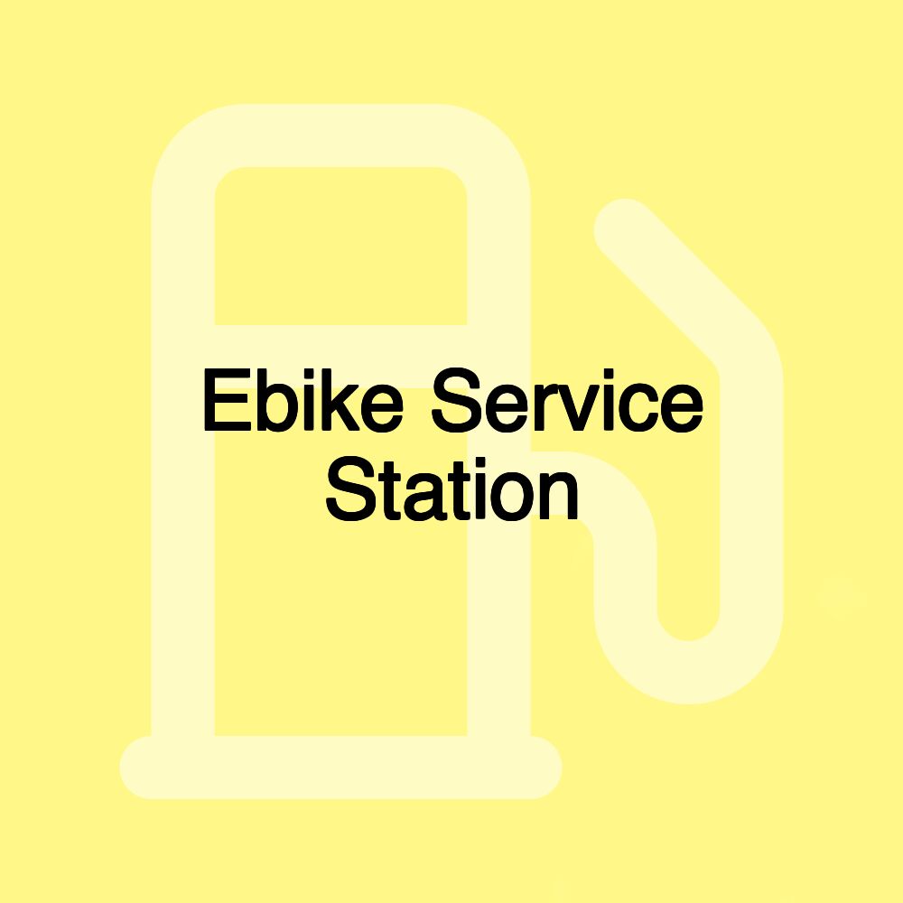 Ebike Service Station