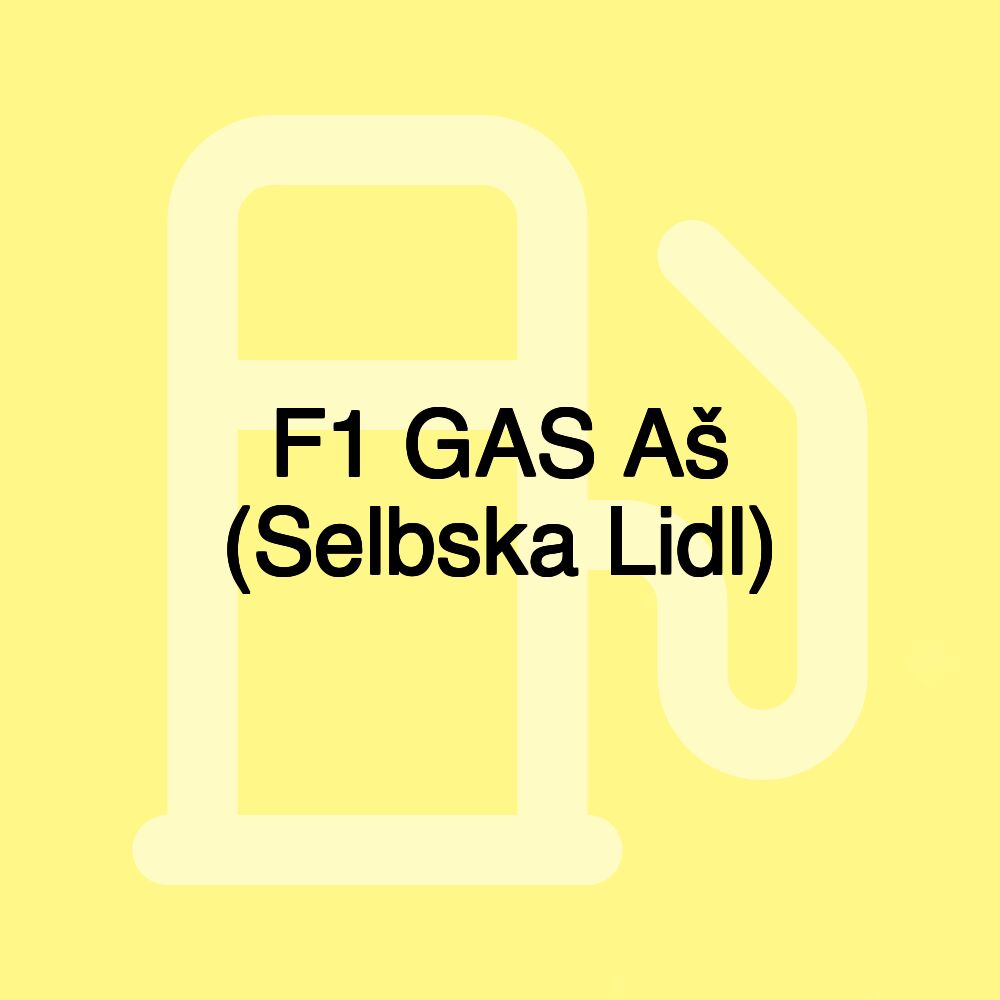 F1 GAS Aš (Selbska Lidl)