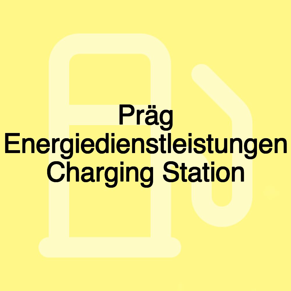 Präg Energiedienstleistungen Charging Station