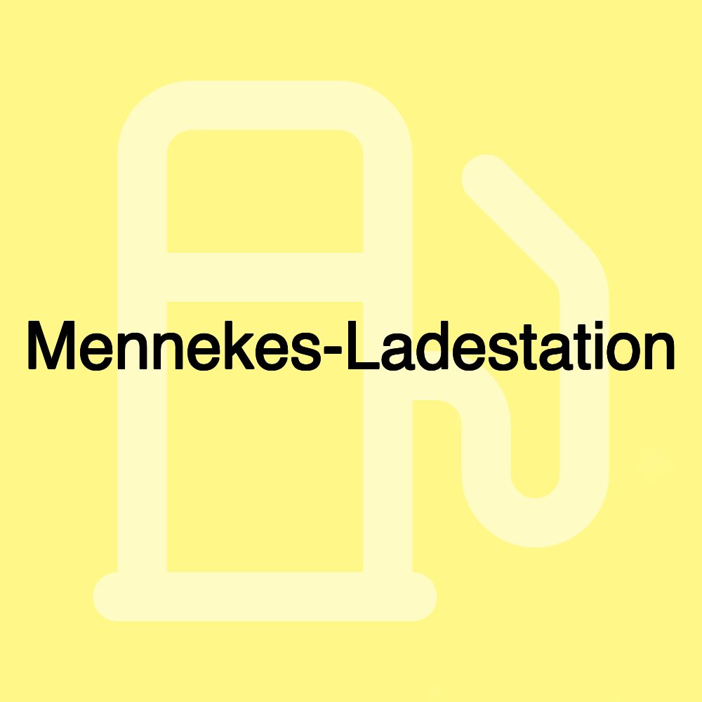 Mennekes-Ladestation