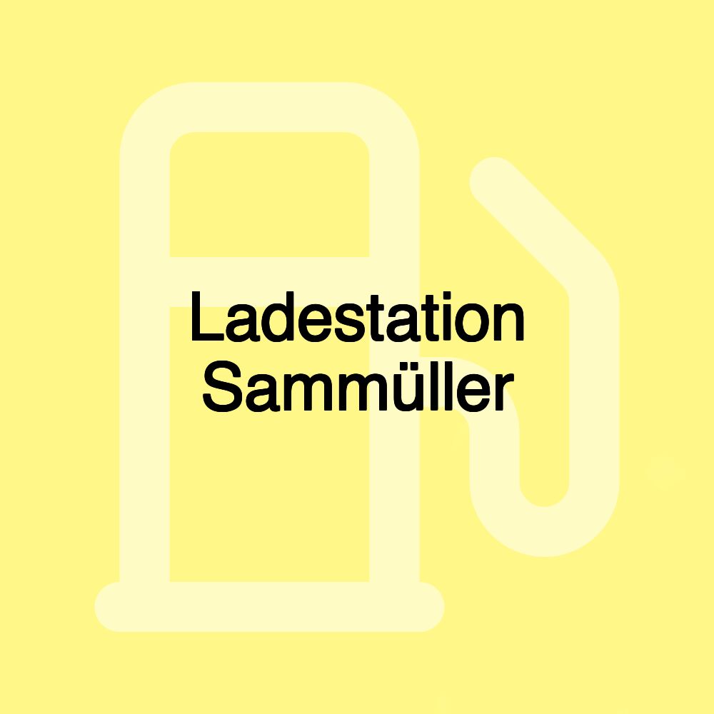 Ladestation Sammüller