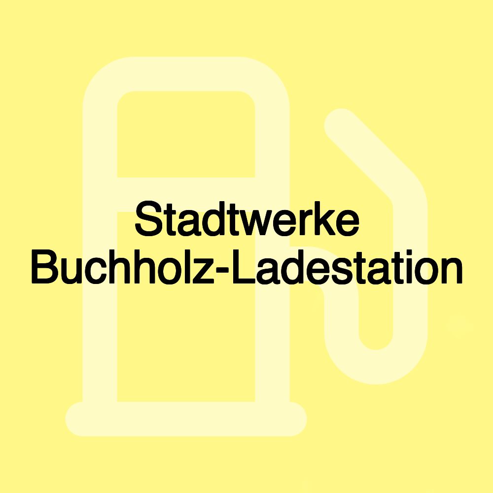 Stadtwerke Buchholz-Ladestation