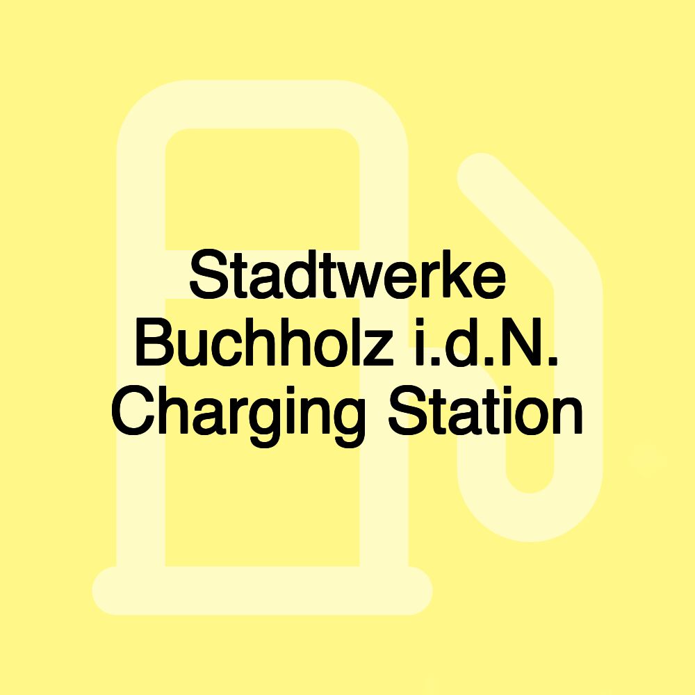 Stadtwerke Buchholz i.d.N. Charging Station