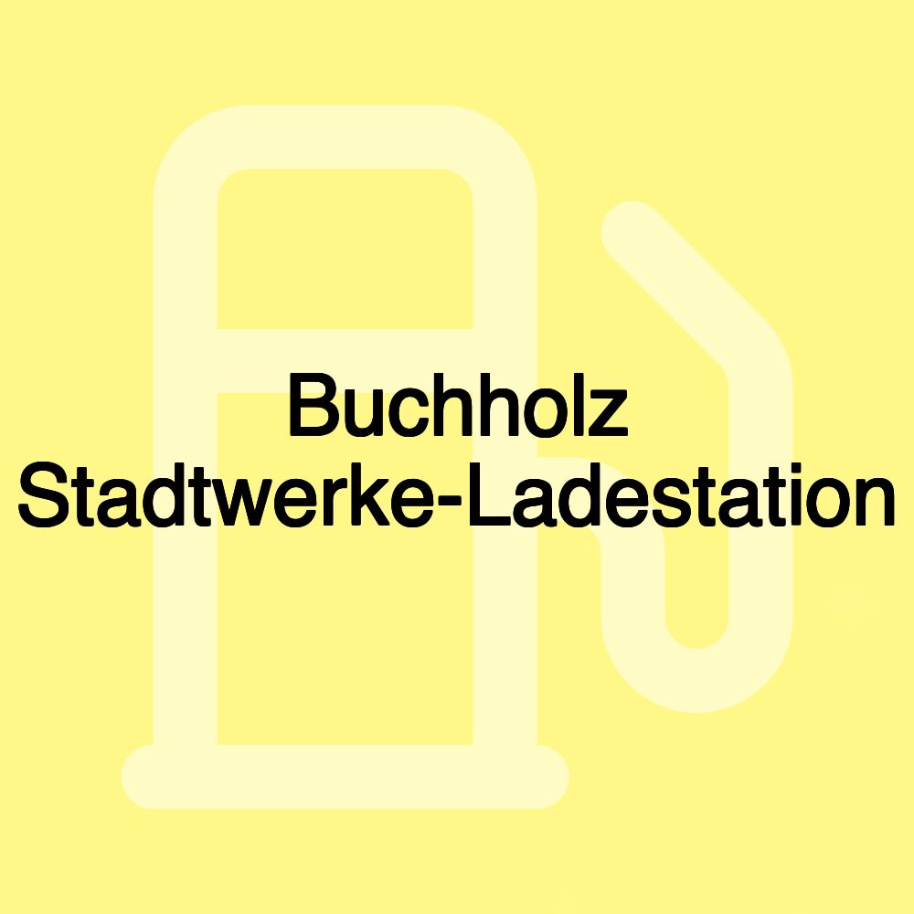 Buchholz Stadtwerke-Ladestation