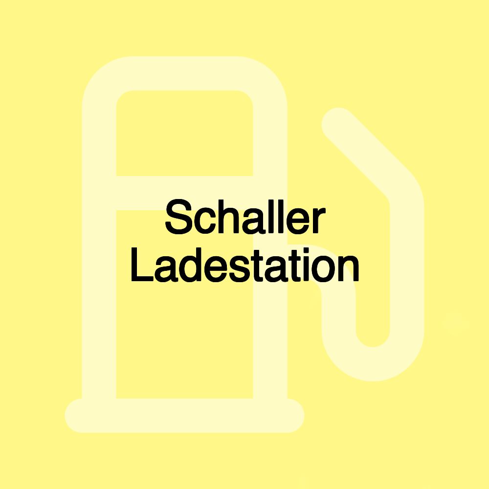 Schaller Ladestation