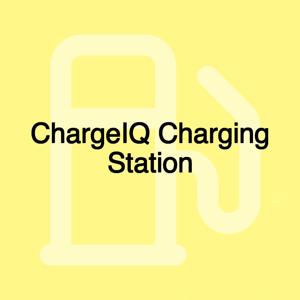 ChargeIQ Charging Station